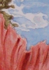 African Mermaid Details